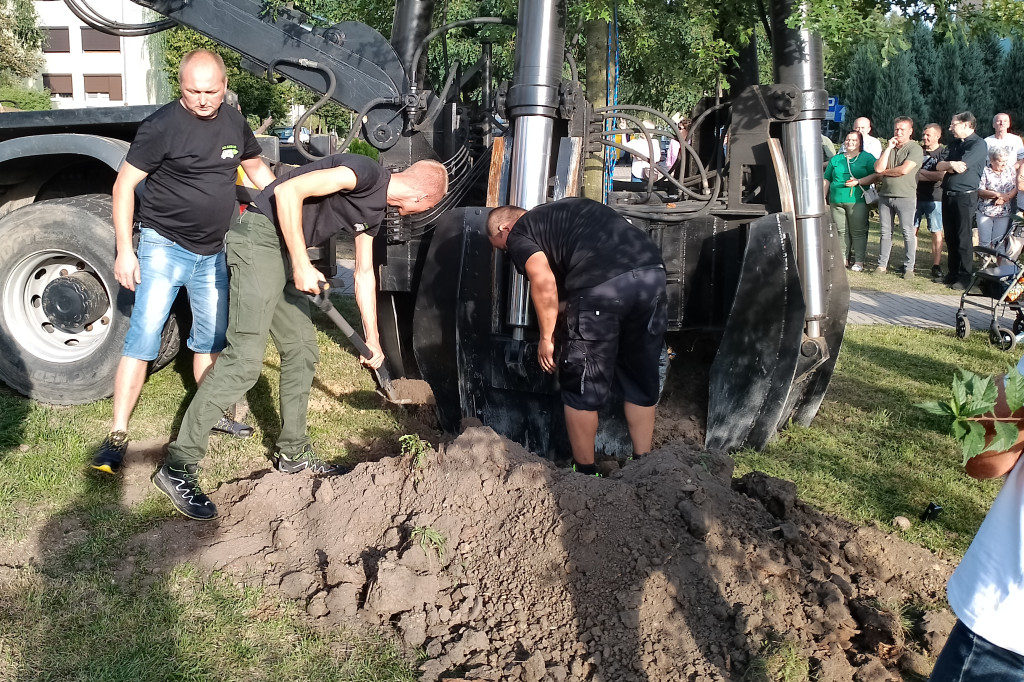 Posadzili dąb półwiecza. Jedyny taki w Pleszewie