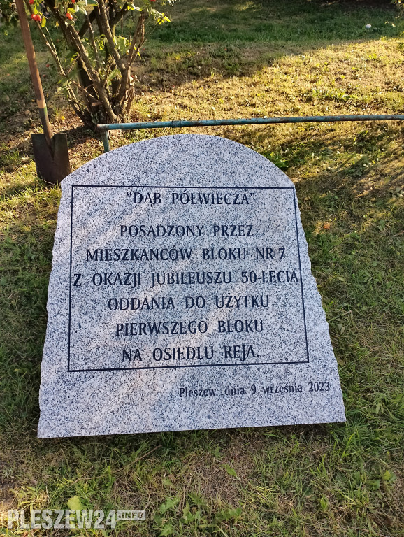Posadzili dąb półwiecza. Jedyny taki w Pleszewie