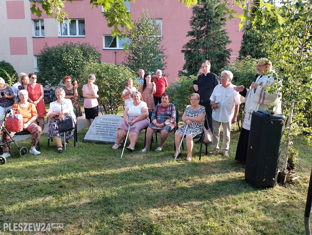 Posadzili dąb półwiecza. Jedyny taki w Pleszewie
