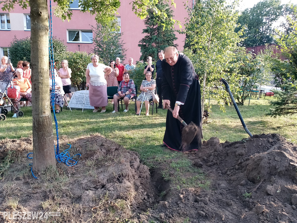 Posadzili dąb półwiecza. Jedyny taki w Pleszewie