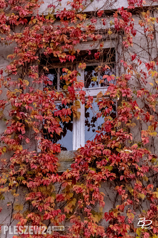Sesja na Halloween w Żegocinie