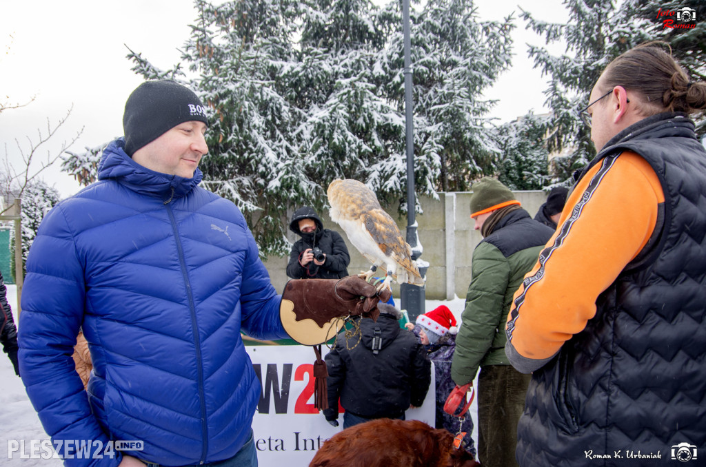 Ekstremalne morsowanie dla Fundacji Bread of Life