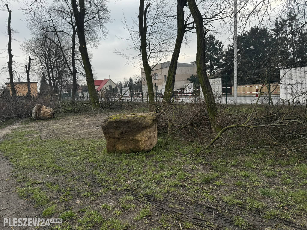 Ogród Jordanowski
