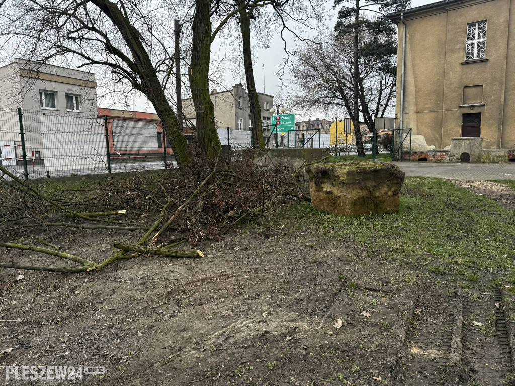 Ogród Jordanowski