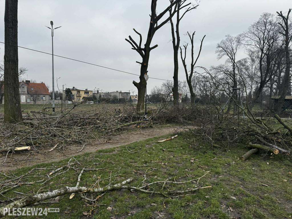 Ogród Jordanowski