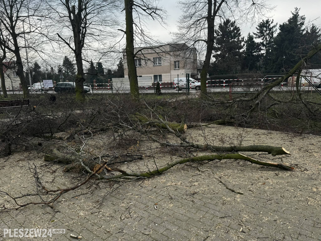 Ogród Jordanowski