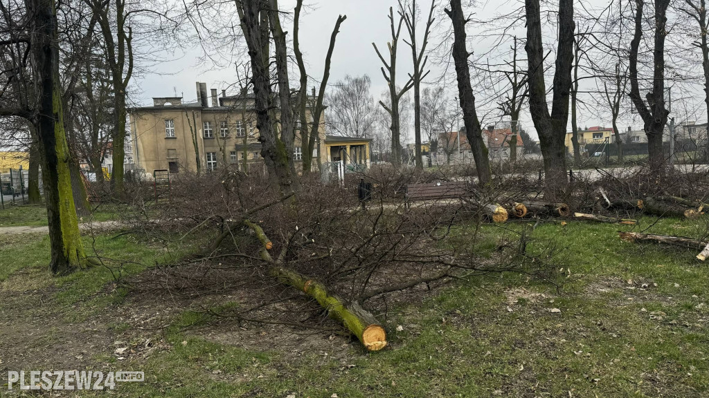 Ogród Jordanowski