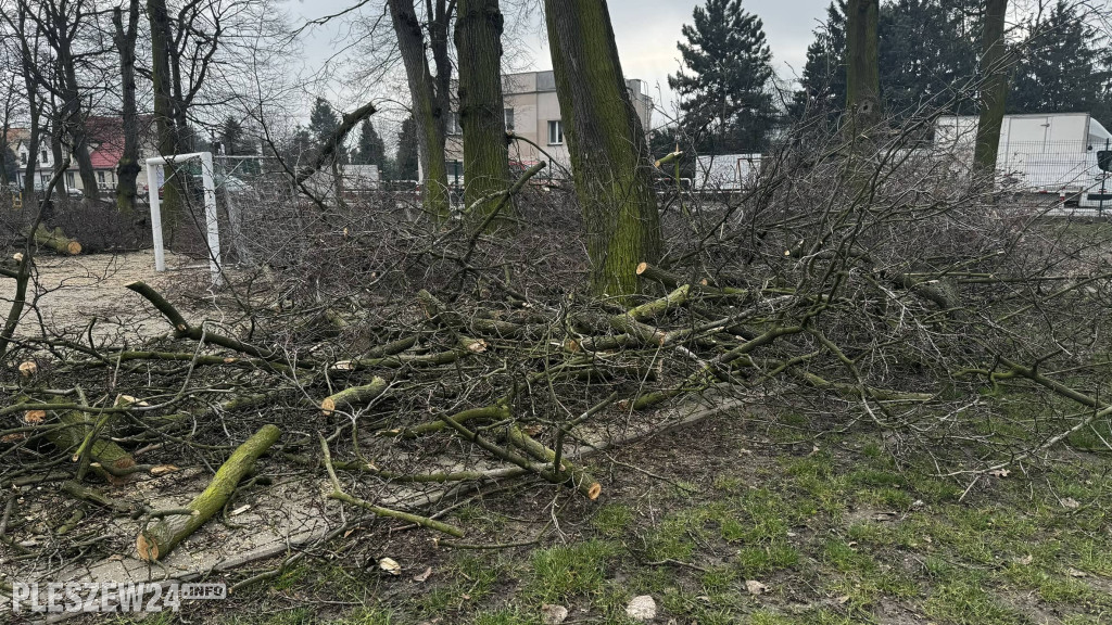 Ogród Jordanowski