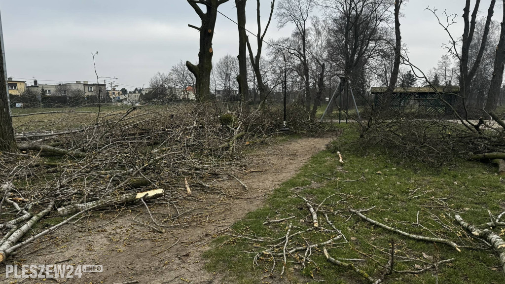 Ogród Jordanowski