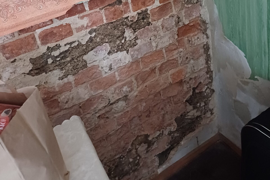 Kobieta żyje w Pleszewie w urągających warunkach