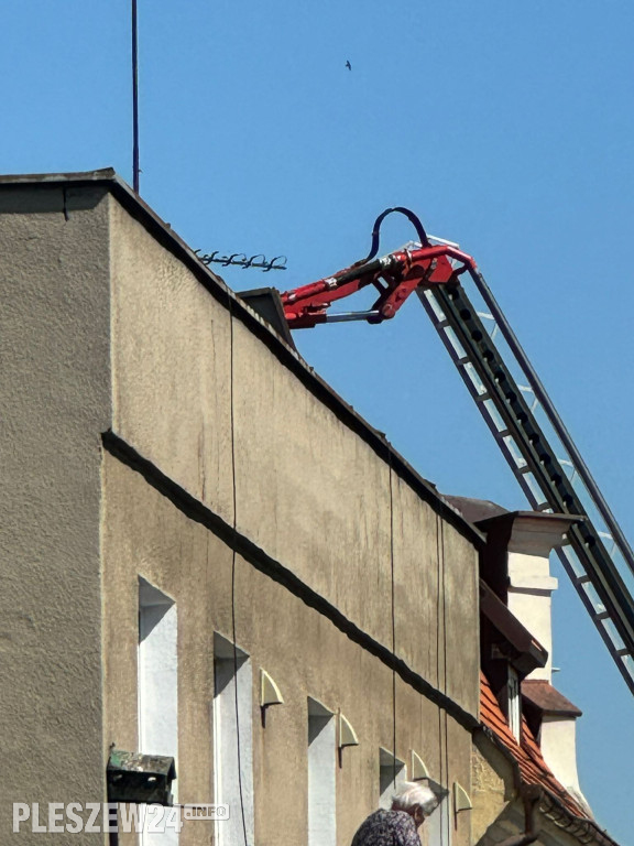 Straż pożarna w akcji przy pleszewskiej Farze