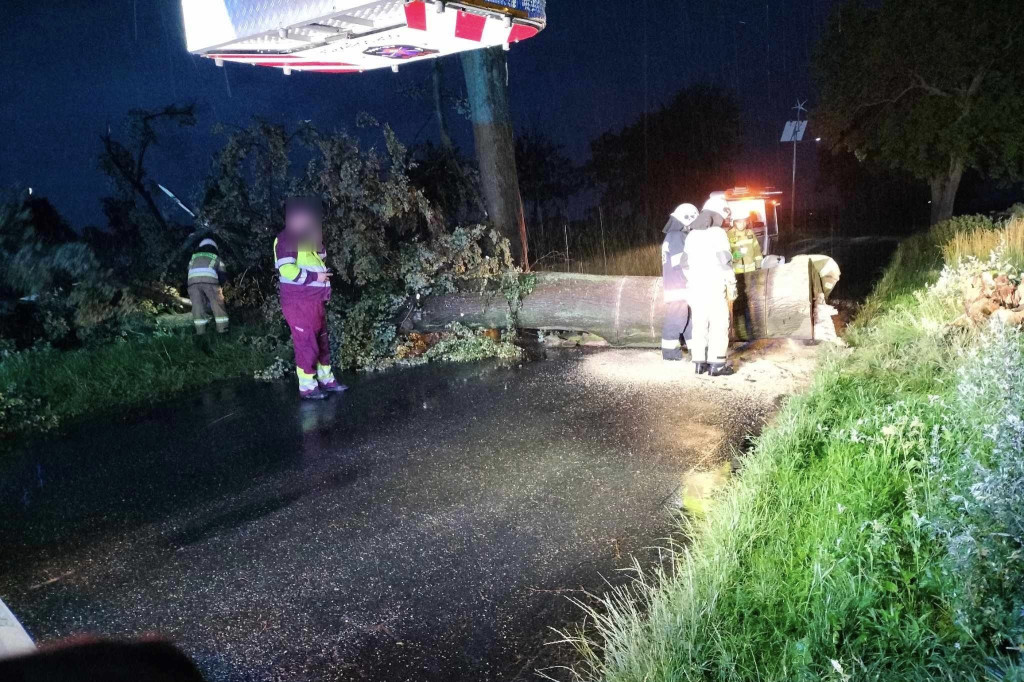 Nocna akcja OSP w Dobrzycy