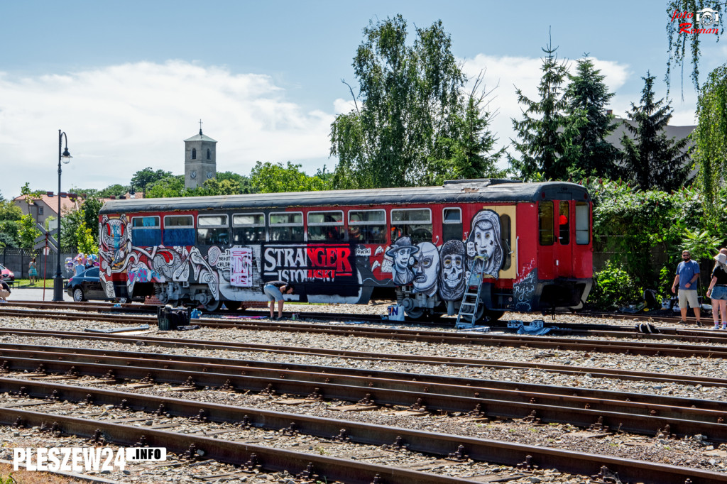 Pleszew Wąsk. Festival - Dzień 2