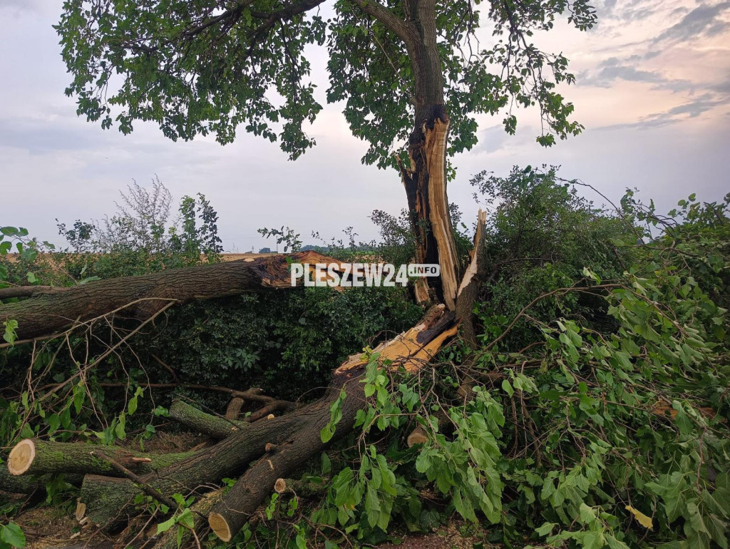 Koszmarne zniszczenia po załamaniu pogody 10 lipca