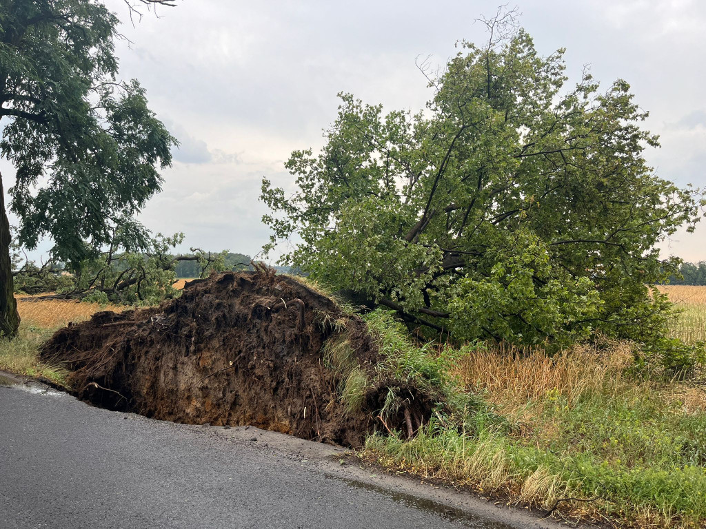 Koszmarne zniszczenia po załamaniu pogody 10 lipca