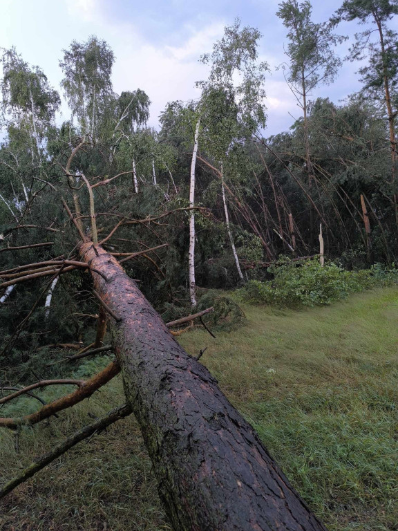 Koszmarne zniszczenia po załamaniu pogody 10 lipca