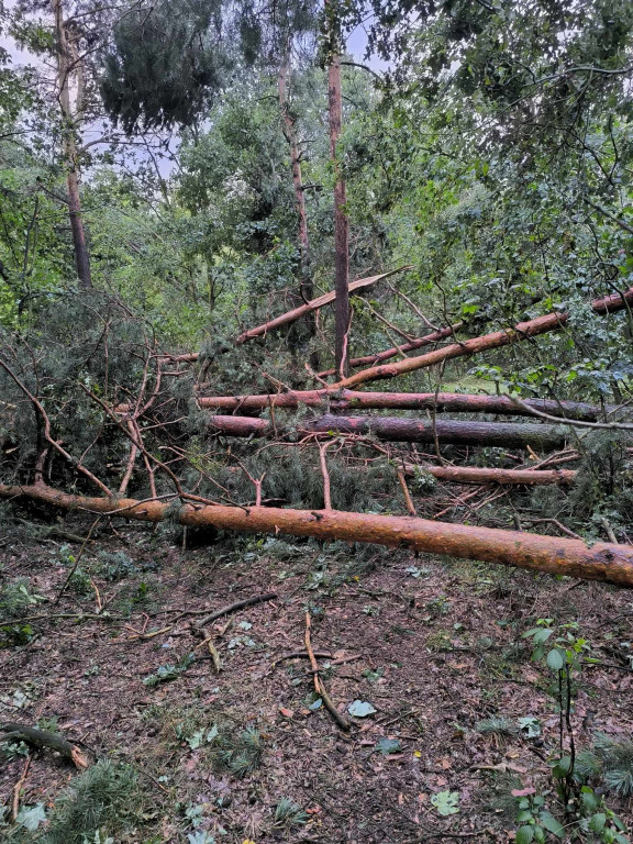 Koszmarne zniszczenia po załamaniu pogody 10 lipca