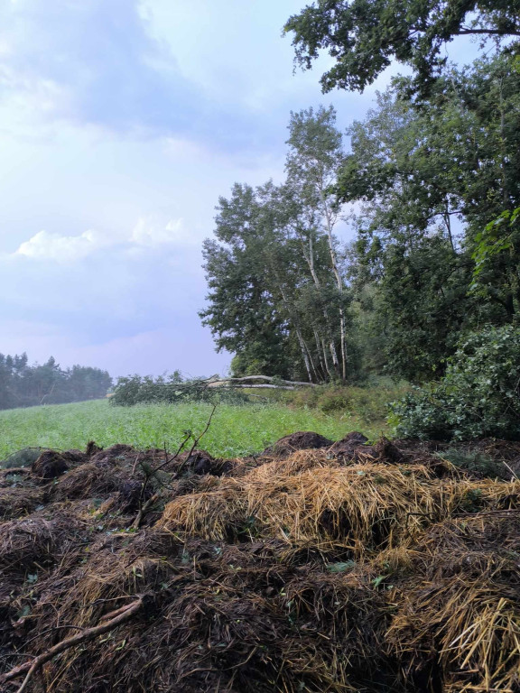 Koszmarne zniszczenia po załamaniu pogody 10 lipca