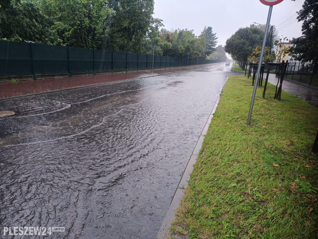 Zalane gminy Pleszew, Dobrzyca i Czermin