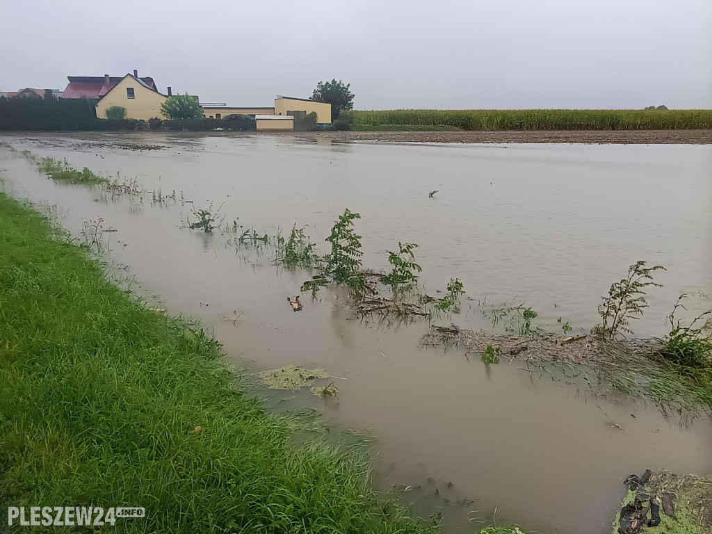 Zalane gminy Pleszew, Dobrzyca i Czermin