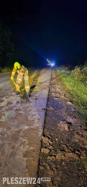 Strażacy z Dobrzycy interweniowali w nocy