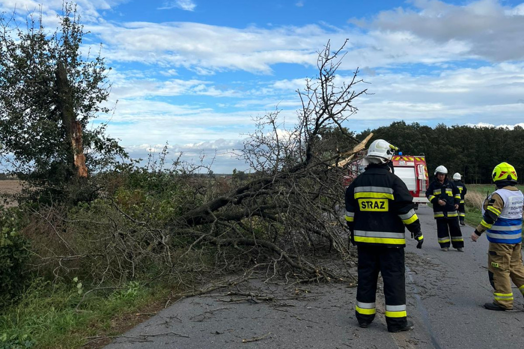  Drzewo runęło na jadący samochód