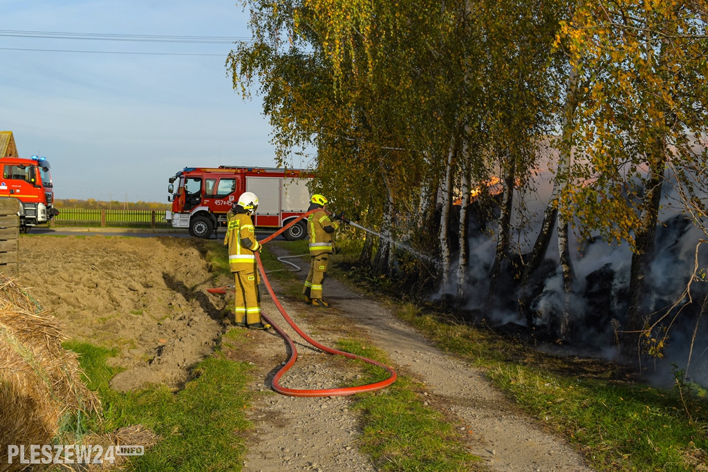 Podpalenie w Wyszkach