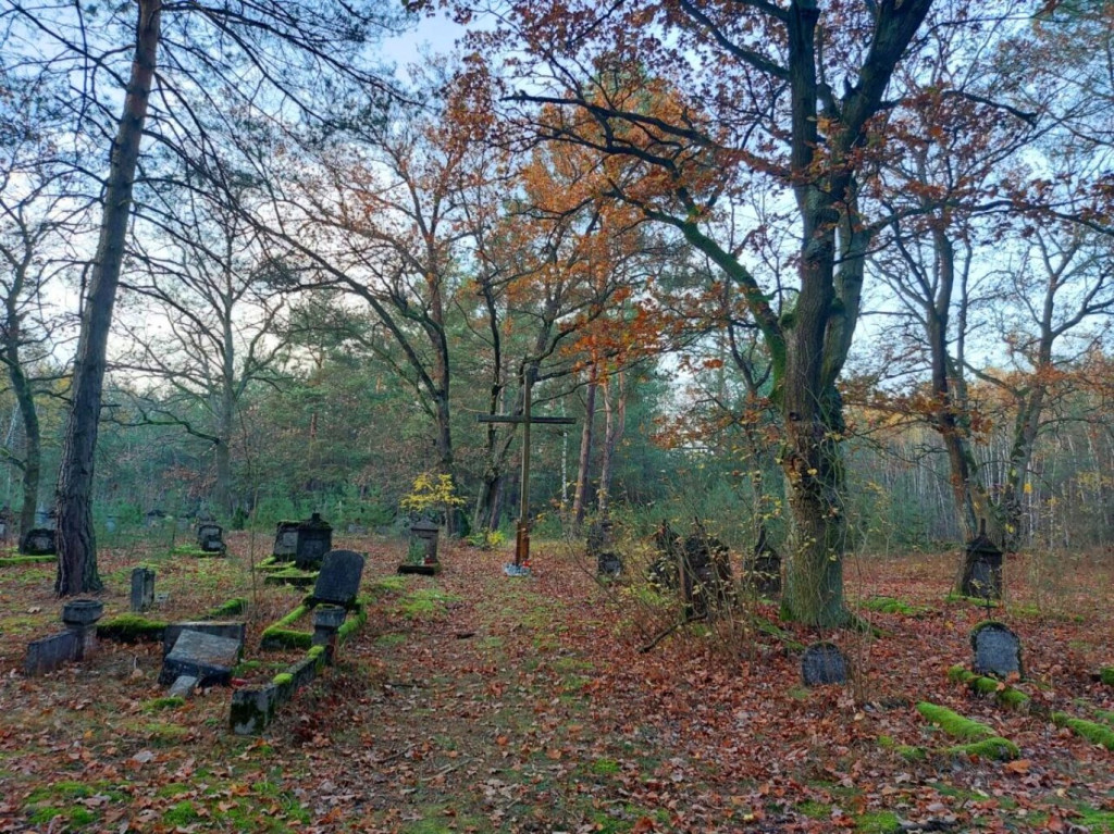 Cmentarz olenderski w Orlinie Dużej