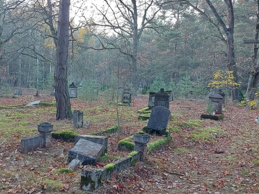 Cmentarz olenderski w Orlinie Dużej