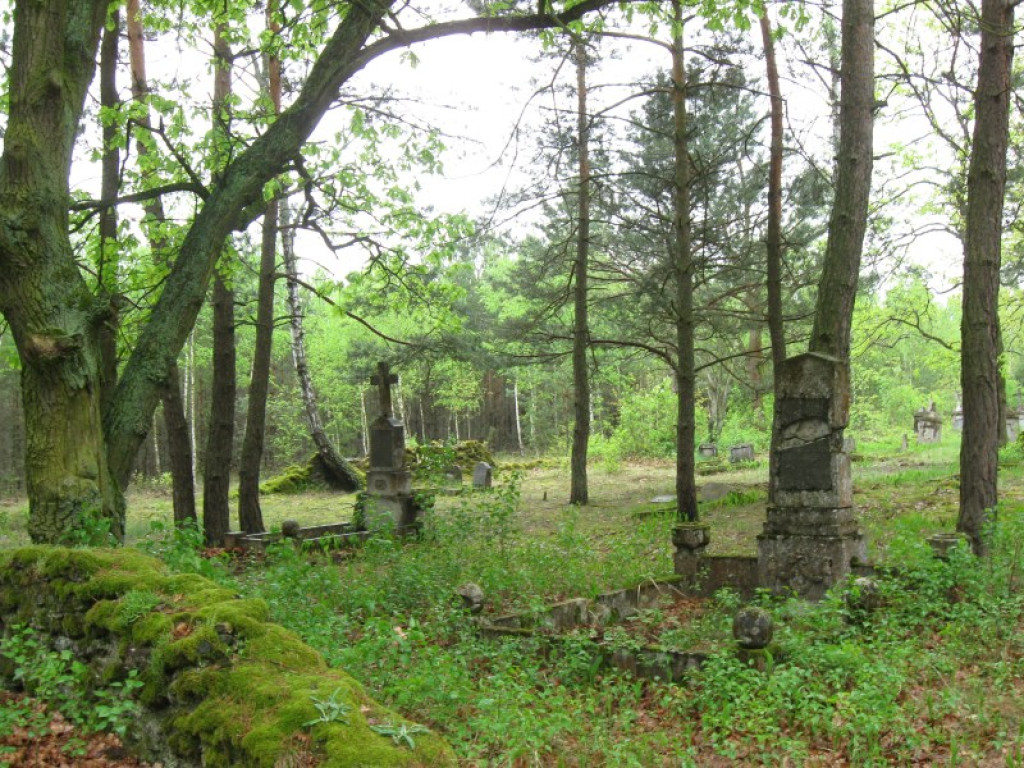 Cmentarz olenderski w Orlinie Dużej