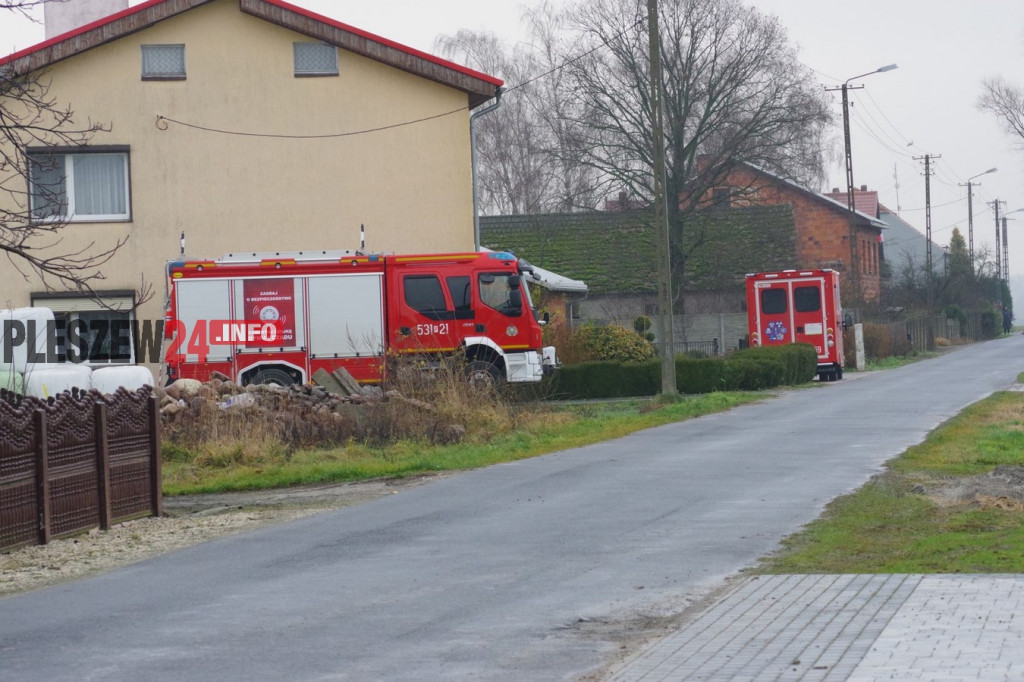 Wielka akcja policyjna w powiecie pleszewskim