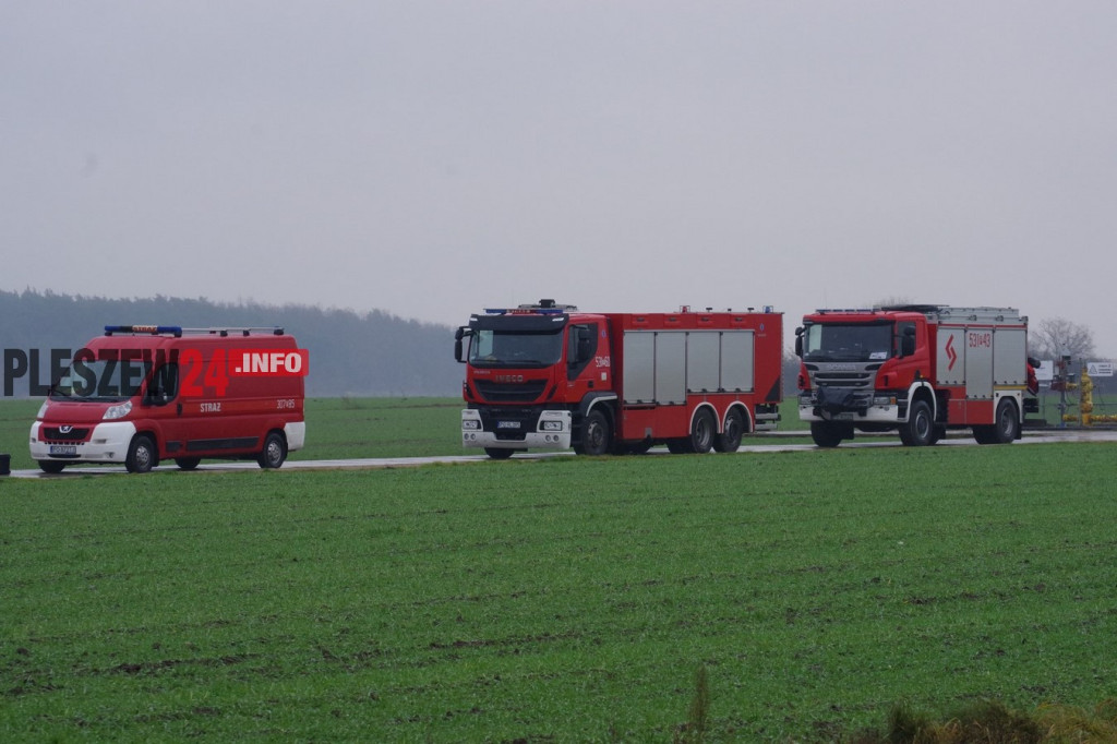 Wielka akcja policyjna w powiecie pleszewskim