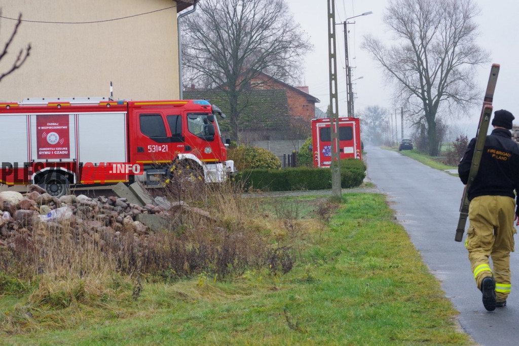 Wielka akcja policyjna w powiecie pleszewskim