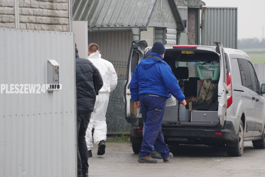 Wielka akcja policyjna w powiecie pleszewskim