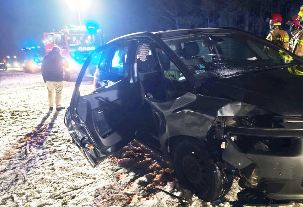 Dzikie zwierzę uderzyło w auto w Białobłotach