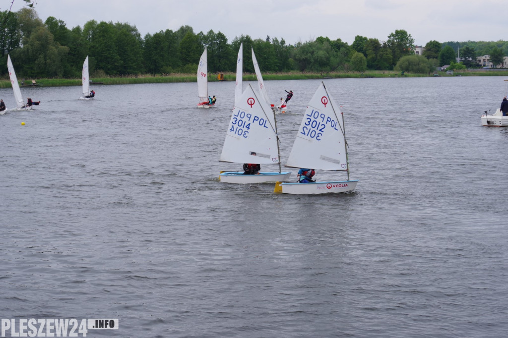 Regaty w Gołuchowie