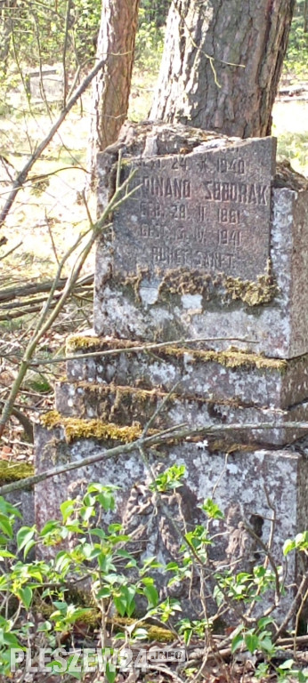 Cmentarz w Orlinie Dużej