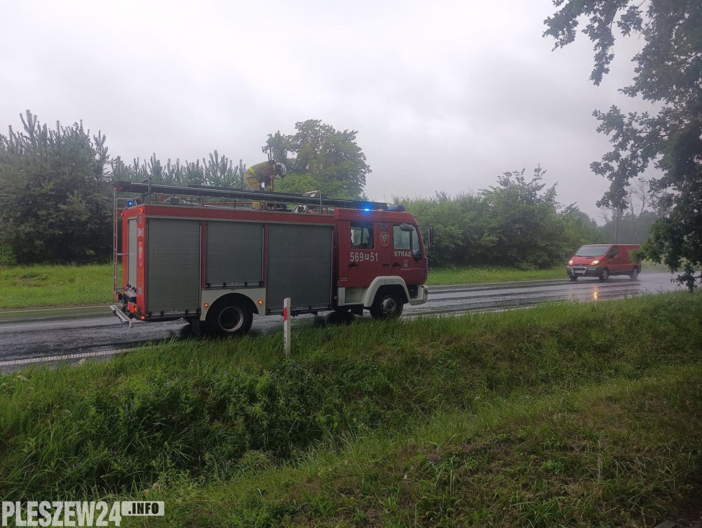 Wypadek na drodze krajowej nr 12