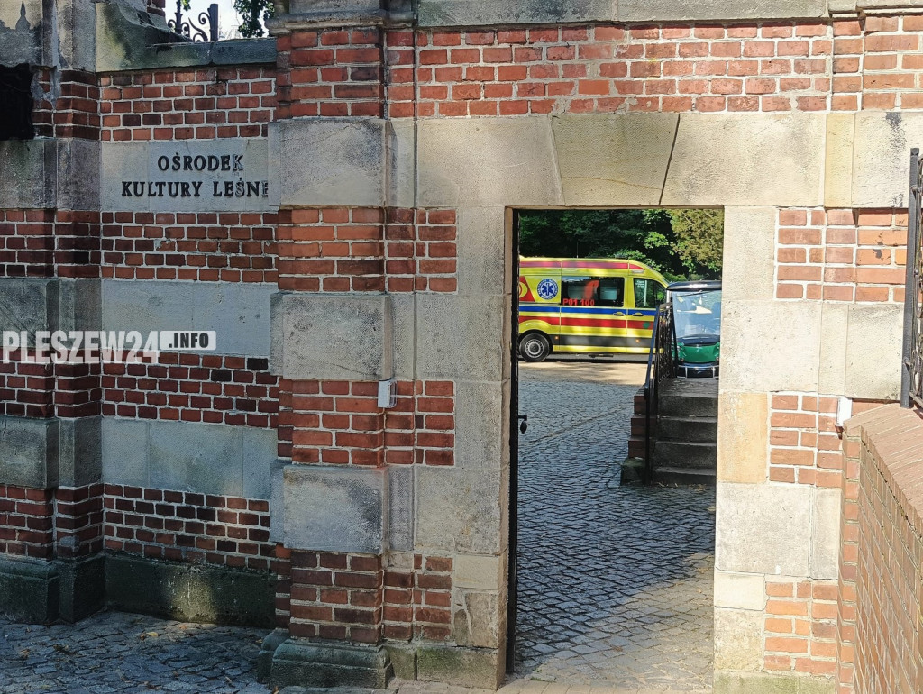 Poszukiwania zaginionej w Gołuchowie