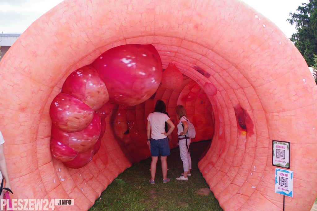 Piknik Zdrowia i Piknik Służb Ratowniczych