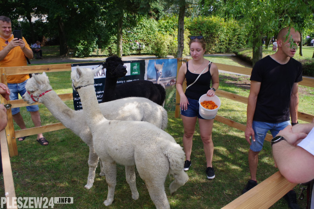 Piknik Zdrowia i Piknik Służb Ratowniczych