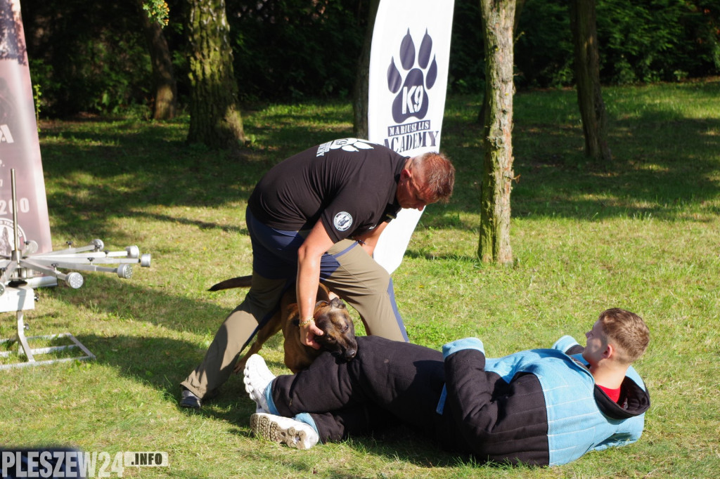 Piknik Zdrowia i Piknik Służb Ratowniczych