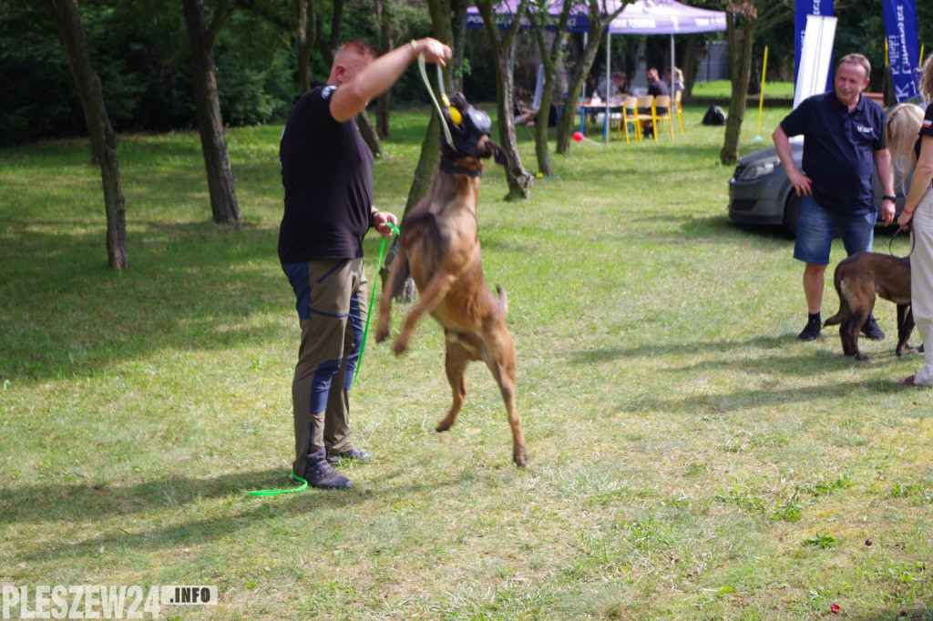 Piknik Zdrowia i Piknik Służb Ratowniczych