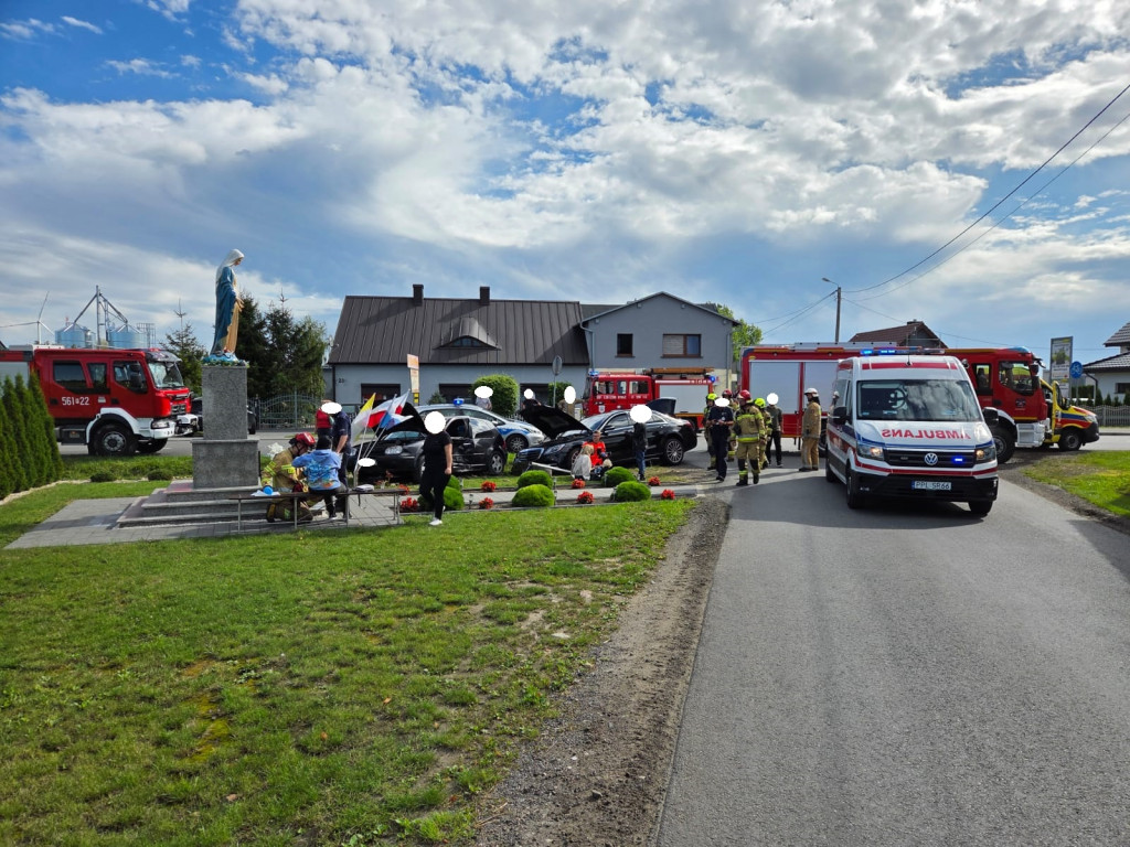 Zderzenie pod Dobrzycą