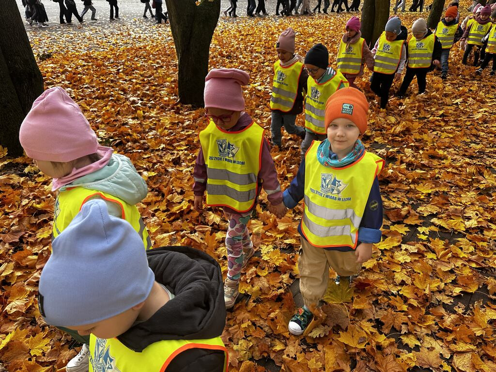 Krokuski i Niezapominajki poznały tajemnice lasu