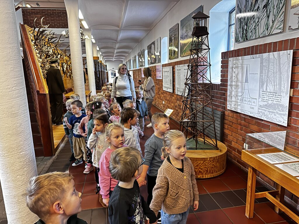 Krokuski i Niezapominajki poznały tajemnice lasu