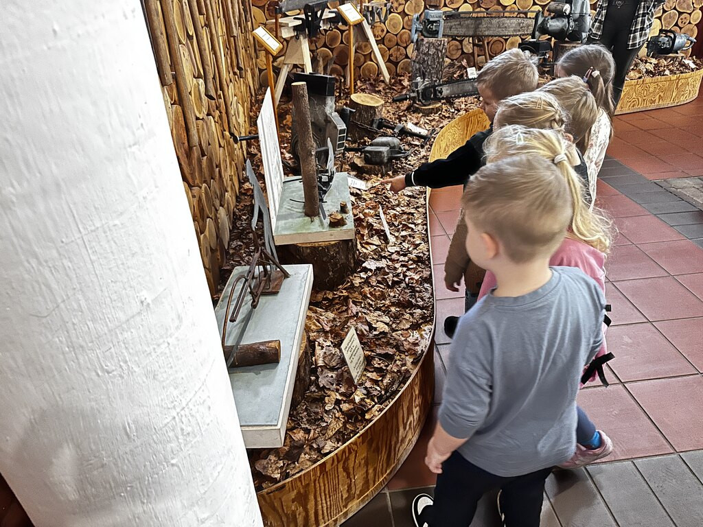 Krokuski i Niezapominajki poznały tajemnice lasu