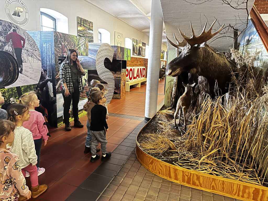 Krokuski i Niezapominajki poznały tajemnice lasu
