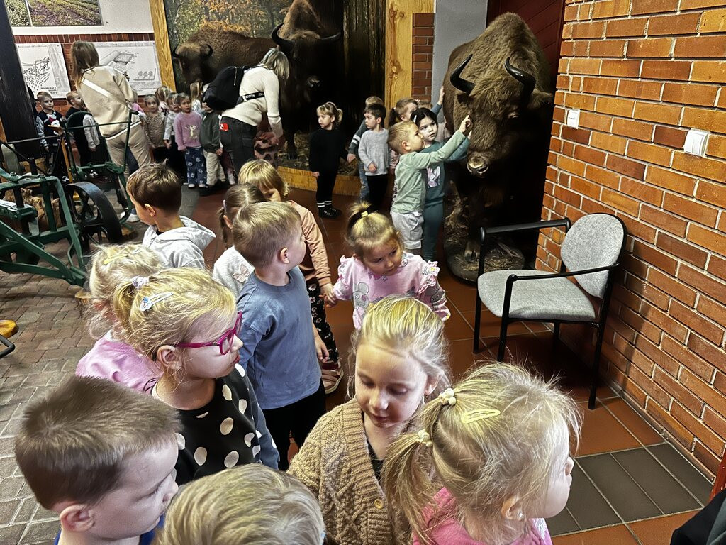 Krokuski i Niezapominajki poznały tajemnice lasu