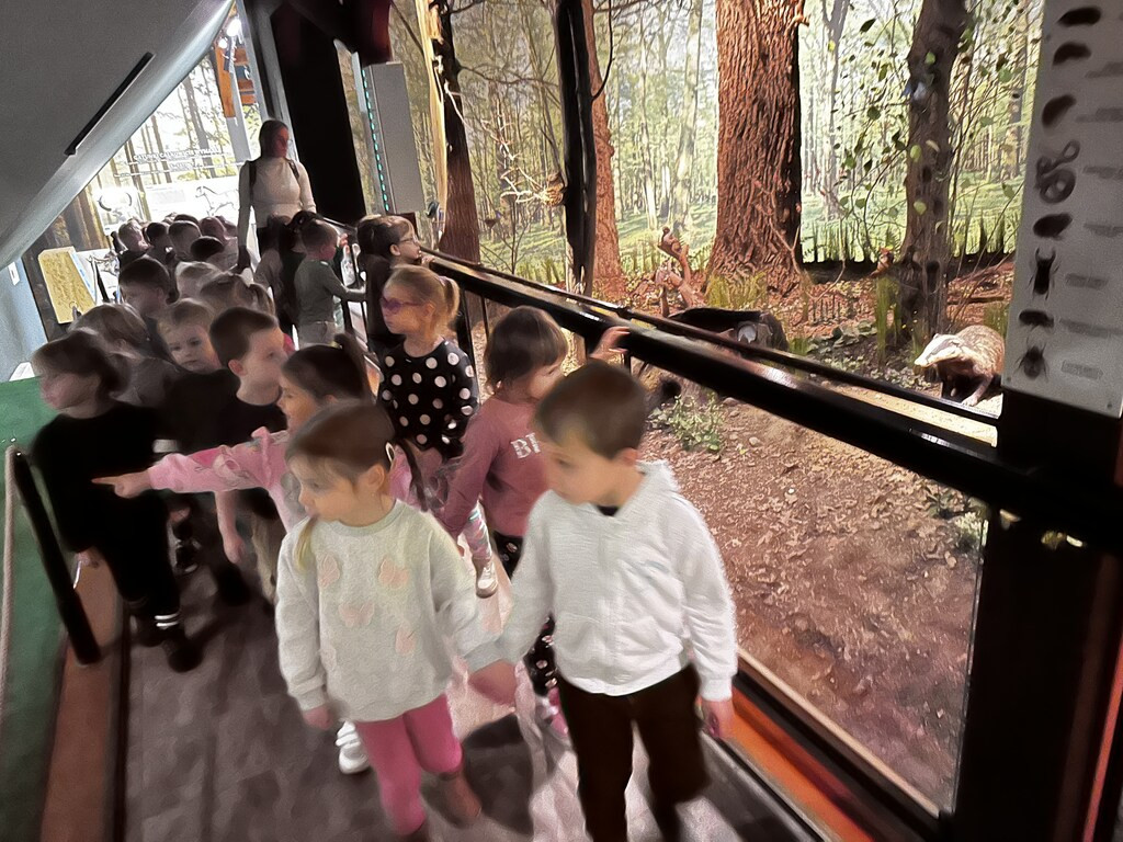 Krokuski i Niezapominajki poznały tajemnice lasu